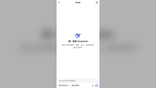 DeepSeek привлекла $15 млрд через два дня после запрета в госорганах США